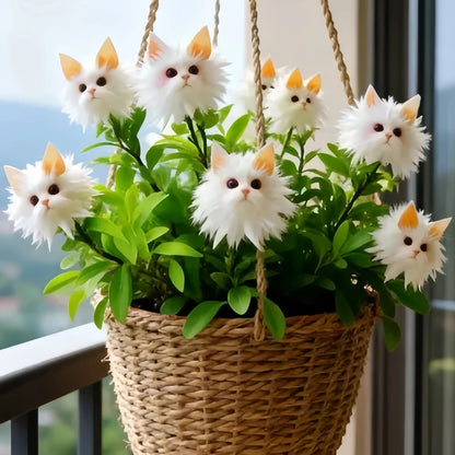 Cat's Eye Dazzle Colorful flowers