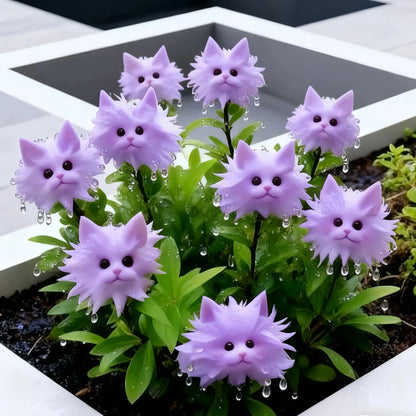 Cat's Eye Dazzle Colorful flowers