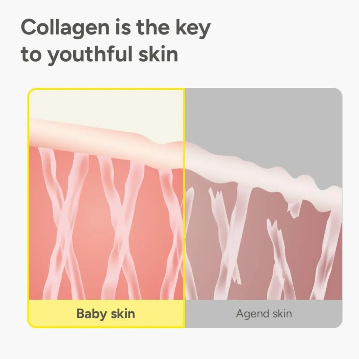 Ampoule Collagen Peptide Face-Lift Duo, 8HA Anti-Aging & Silk Serum Set